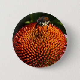 Kryp på Flower Knapp