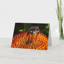 Kryp på Flower Kort