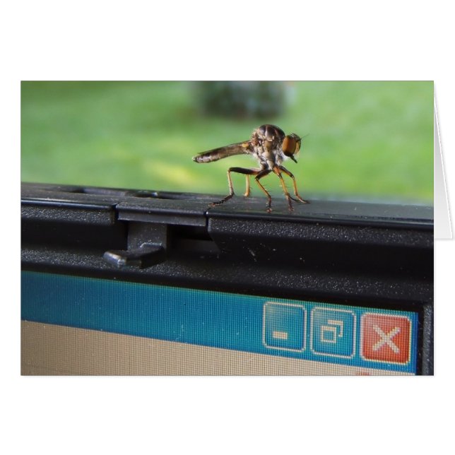 Kryp på systemkortet ~ hälsningskort (Framsidan Horizontal)