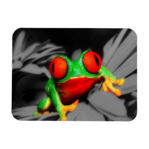 Kryp-Synad groda Magnet