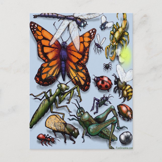 Kryp Vykort (Framsida)