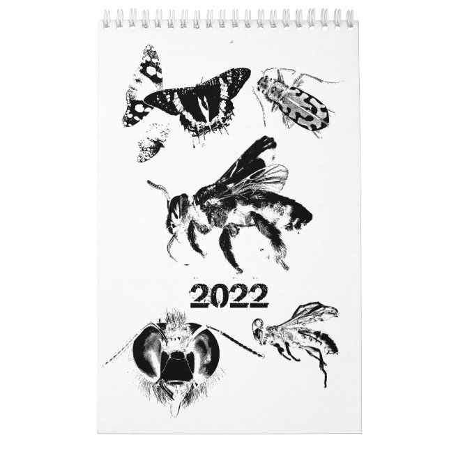 Kryp World - Insektrare - 2022 års kalender (Omslag)