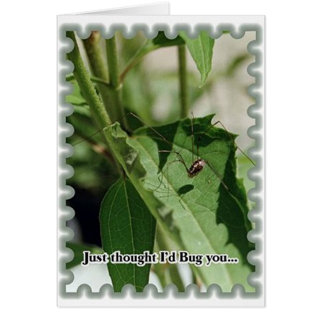 Kryp You Hälsningskort (Framsidan)