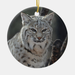 Krypa bobcaten julgransprydnad keramik