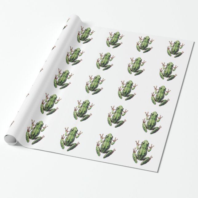 Krypande groda presentpapper (Utrullad)