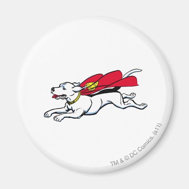 Krypto på hund magnet (Framsidan)