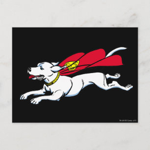 Krypto på hund vykort