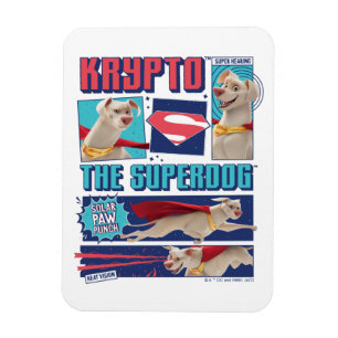 Krypto på paneler för Toppen-Hund-Tecknad Magnet