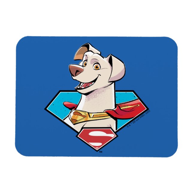 Krypto S-Shield Graphic Magnet (Horisontell)