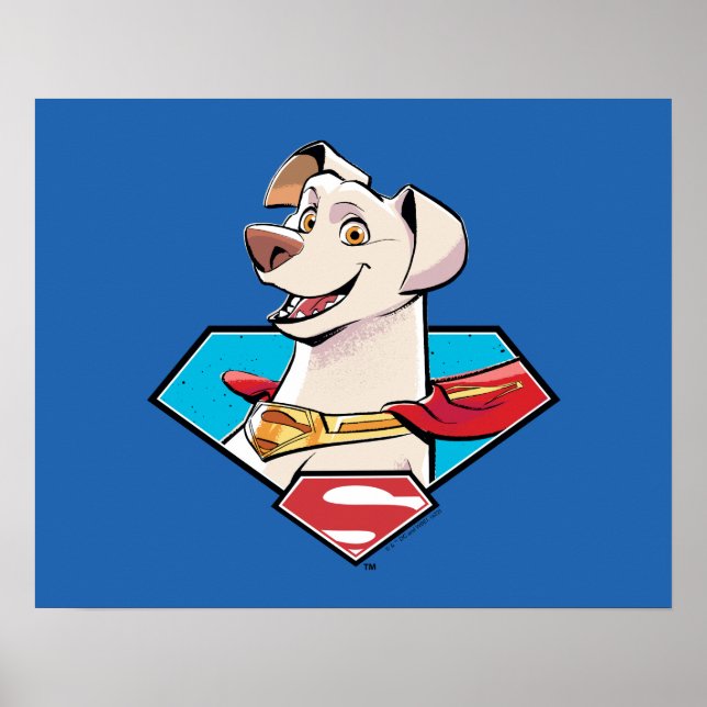 Krypto S-Shield Graphic Poster (Framsidan)