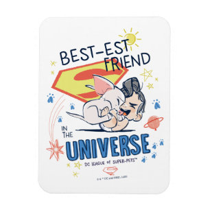 Krypto & Superman: Bästa vän i universum Magnet