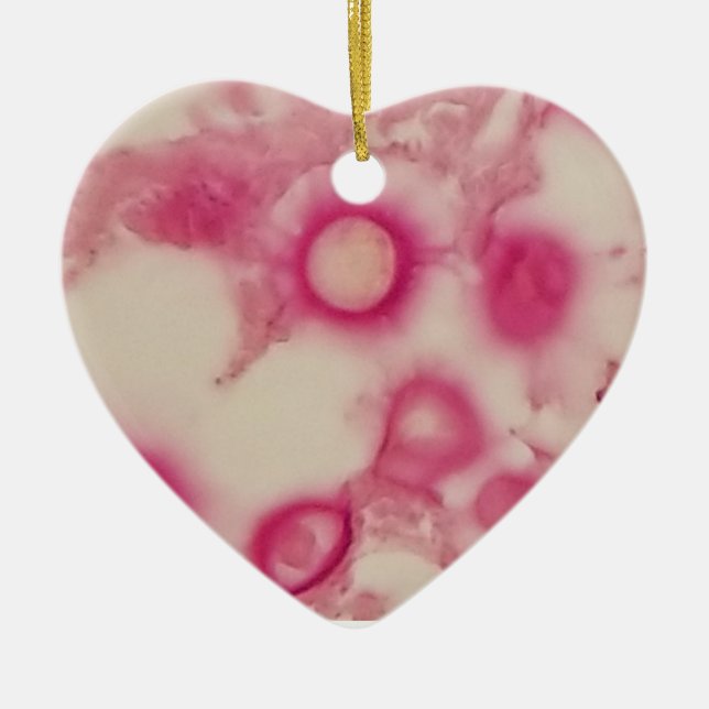 Kryptokock prydnadsföremål julgransprydnad keramik (Framsidan)