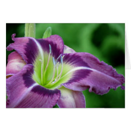 Krypton Core - Daylily Hälsningskort