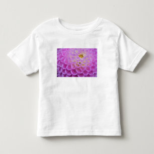 Krysantemum blommor dekorerar gravplats i t-shirt