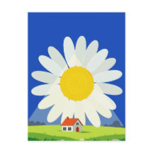 Krysantemum