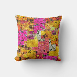 Krysantemum - kuddar