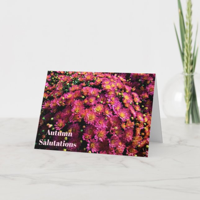 Krysanthemum/Magenta/höstsalutationer Kort (Framsida)