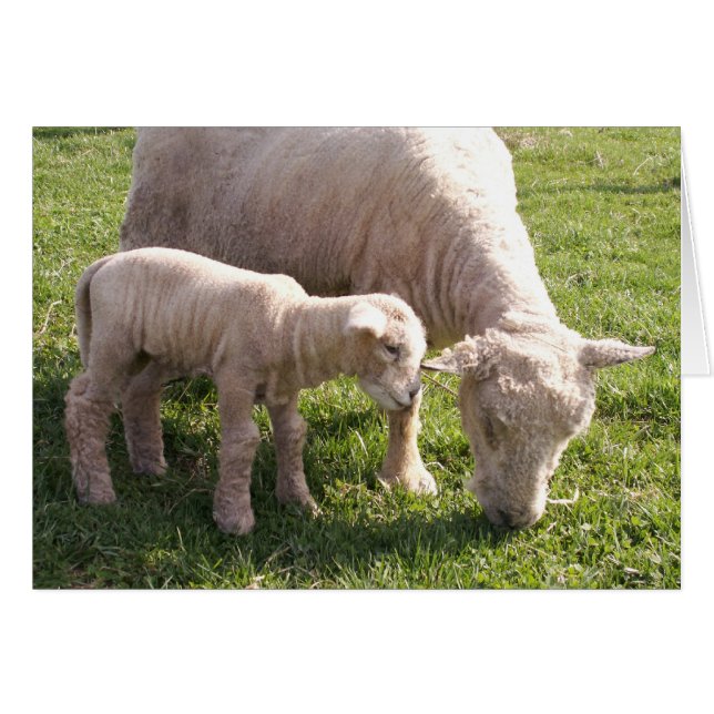 Kryssa för Stäng Hälsningskort (Framsidan Horizontal)