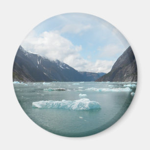 Kryssa omkring Alaska den inre passagen Magnet