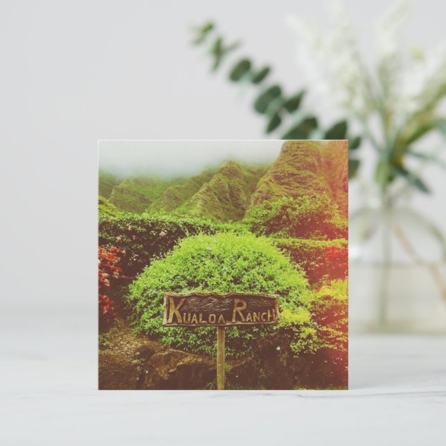 Kualoa Ranch (Stående Fram)