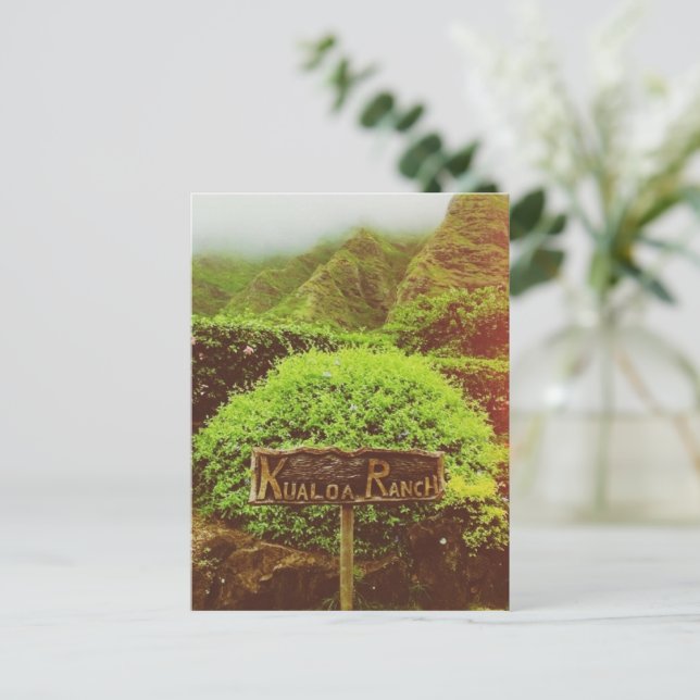 Kualoa Ranch Helg Vykort (Stående Fram)