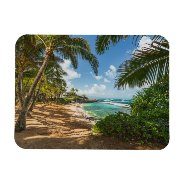 Kuau Cove Beach | Maui, Hawaii Magnet (Horisontell)