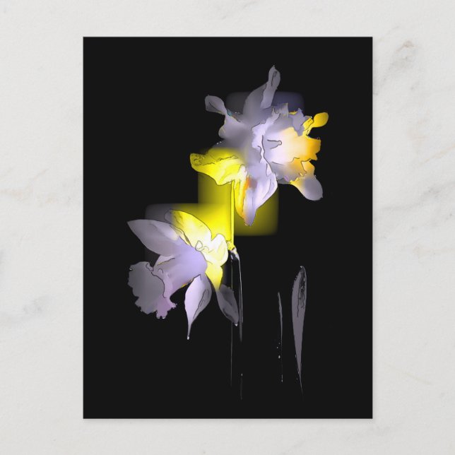 Kuba Daffodils Vykort (Framsida)