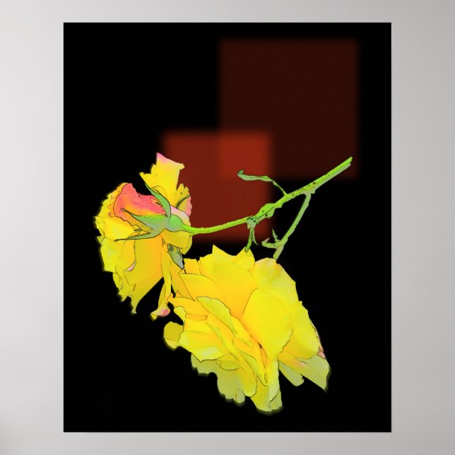 Kuba Ro Poster (Framsidan)