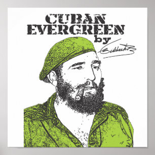Kubansk evergreen poster