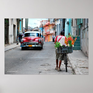 Kubansk Florist Poster
