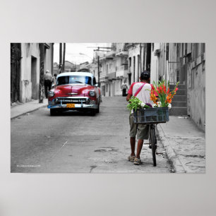 Kubansk Florist Poster