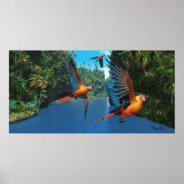 Kubansk Red Macaw 2 Skriv ut Poster