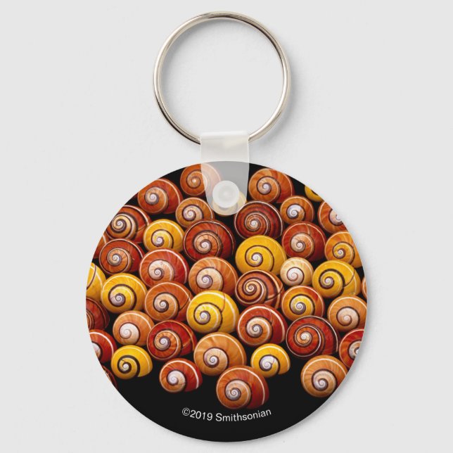 Kubanska Träd Snigel Nyckelring (Framsida)