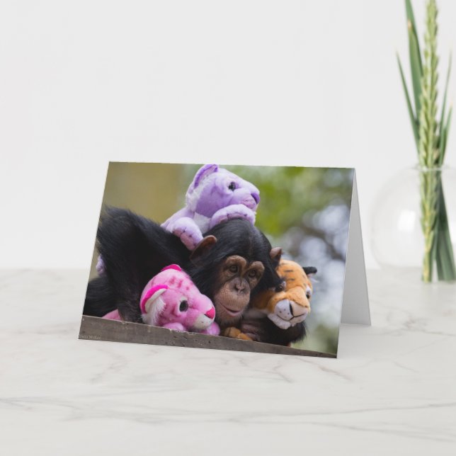 Kudda Chimp & Animal Friends Kort (Framsida)