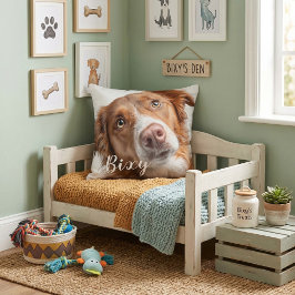 Kuddar för husdjur bästa vänner