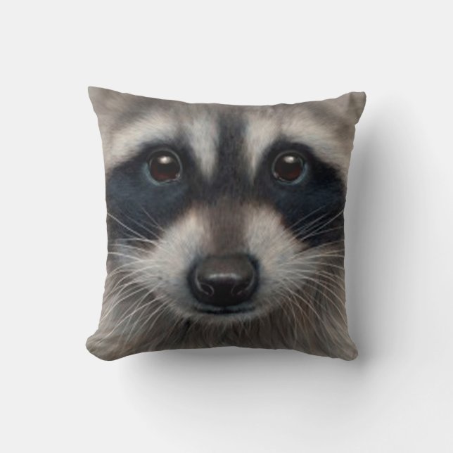 Kudde den älsklings- racoonen (Framsida)