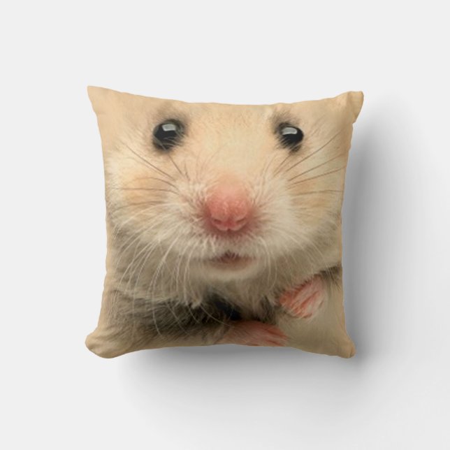 Kudde husdjur hamster (Framsida)
