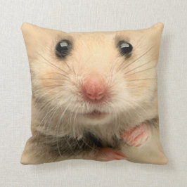 Kudde husdjur hamster