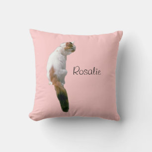 Kudde - katten med namn