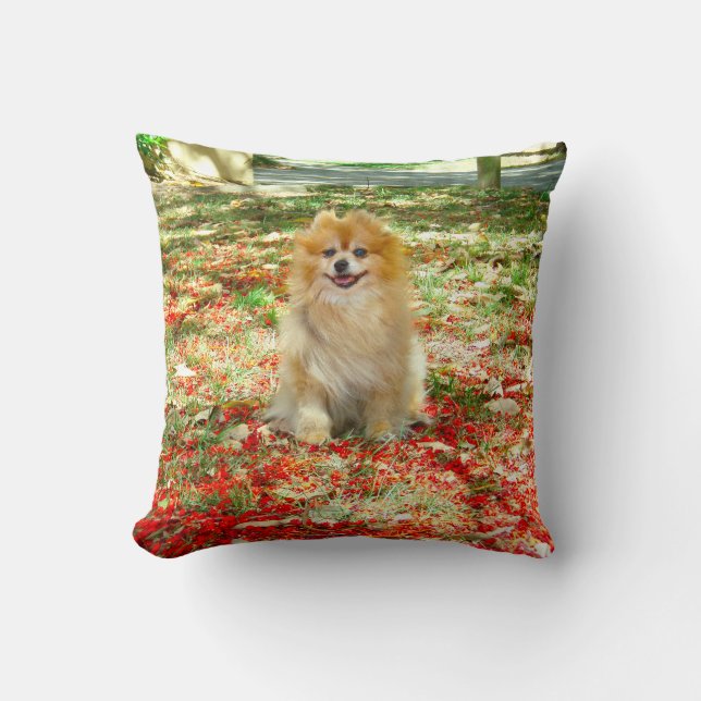 Kudde | le Pomeranian röda blommor (Framsida)