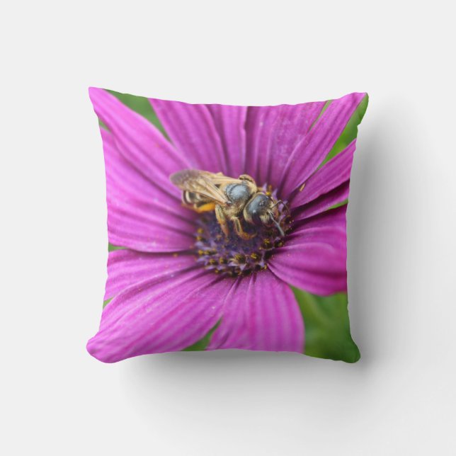 Kudde med bin på blommor (Framsida)