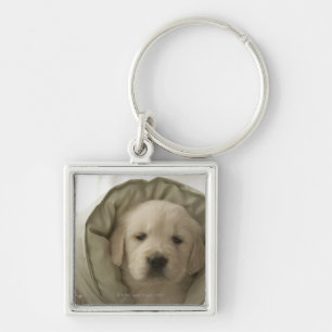 Kudde runt om hunden fyrkantig silverfärgad nyckelring