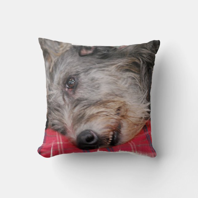 kudde - skräddarsy (Framsida)