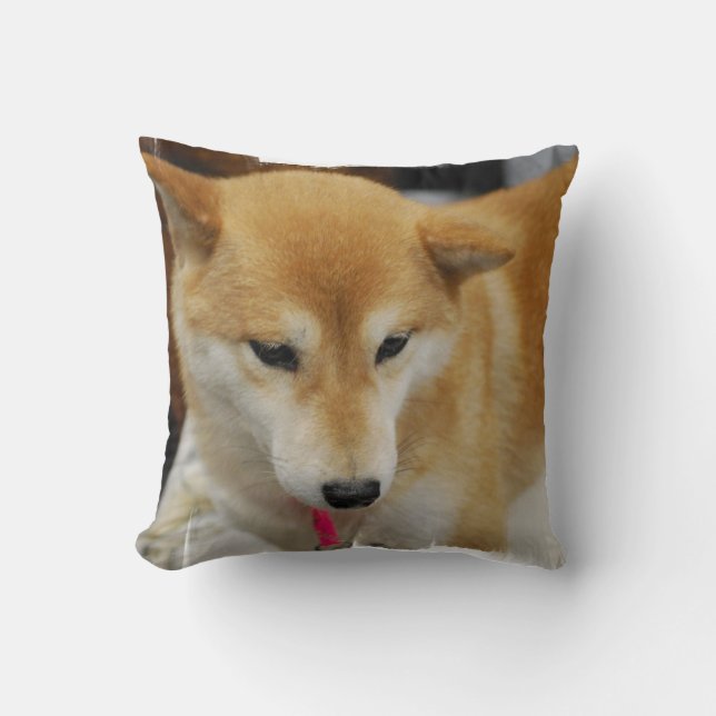 kudde - skräddarsy (Framsida)