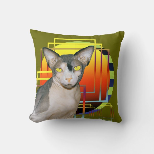 Kudde | Sphynx kattNinja genomskinlig bakgrund (Framsida)