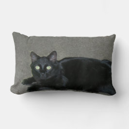 kudde - svart katt på mattan