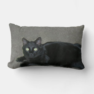 kudde - svart katt på mattan