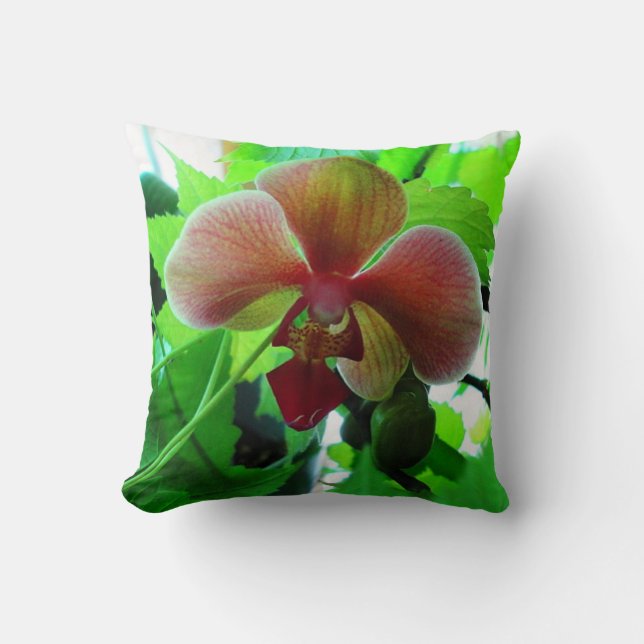 Kudde, Vacker Phalaenopsis-Orkidé fotografi Kudde (Framsida)