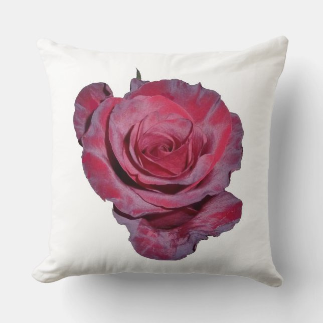 Kudden ro kudde (Framsida)