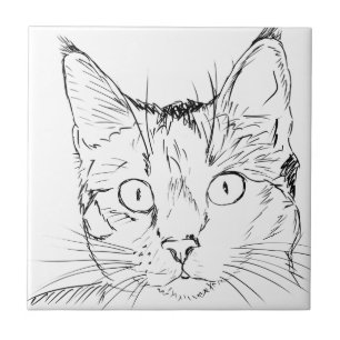 Kuddkatt Kakelplatta